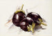 Aubergines - Charles Demuth — artwork view
