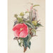 Reproduction of the painting Hibiscus - Charles Demuth