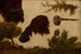 Study for The Wounded Bison on Sage Hill with Bison Head, Stone Berry, and Cactus - Charles Ferdinand Wimar — artwork view