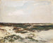 Les Dunes à Camiers - Charles François Daubigny — artwork view