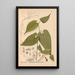 Reproduction of the painting Medicinal Plants Pl033 - Charles Frederick Millspaugh