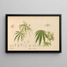 Medicinal Plants Pl051 - Charles Frederick Millspaugh — framed artwork on a wall