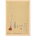 Medicinal Plants Pl055 - Charles Frederick Millspaugh — artwork view