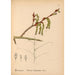 Medicinal Plants Pl060 - Charles Frederick Millspaugh — artwork view