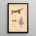 Reproduction of the painting Medicinal plants Pl061 - Charles Frederick Millspaugh