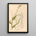 Reproduction of the painting Medicinal Plants Pl090 - Charles Frederick Millspaugh
