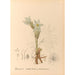 Medicinal plants Pl094 - Charles Frederick Millspaugh — artwork view