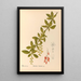 Medicinal Plants Pl108 - Charles Frederick Millspaugh — framed artwork on a wall