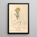 Reproduction of the painting Medicinal Plants Pl123 - Charles Frederick Millspaugh
