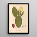 Medicinal Plants Pl154 - Charles Frederick Millspaugh — framed artwork on a wall