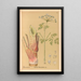 Medicinal Plants Pl161 - Charles Frederick Millspaugh — framed artwork on a wall