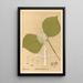 Reproduction of the painting Medicinal Plants Pl165 - Charles Frederick Millspaugh