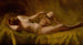 Vanité Painting - Charles Frederick Ulrich — artwork view