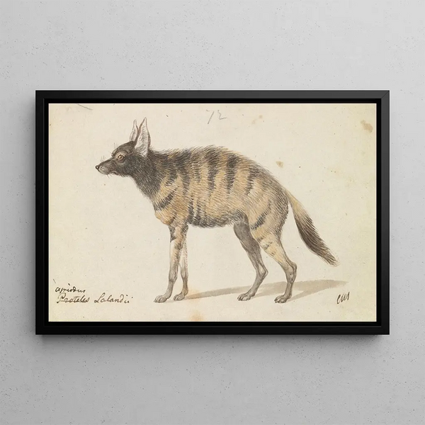 Protèle - Charles Hamilton Smith — framed artwork on a wall
