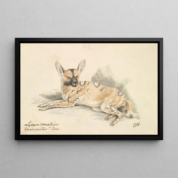 Lycaon - Charles Hamilton Smith — framed artwork on a wall