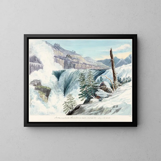 Anderson's Waterfall on the Haheldessa River - Charles Hamilton Smith — framed artwork on a wall