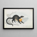 Asian Civet Painting - Charles Hamilton Smith — framed artwork on a wall