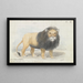 Lion of the Cape - Charles Hamilton Smith — framed artwork on a wall