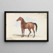 Third foal of the broodmare mare and second by the black Arabian - Charles Hamilton Smith — framed artwork on a wall
