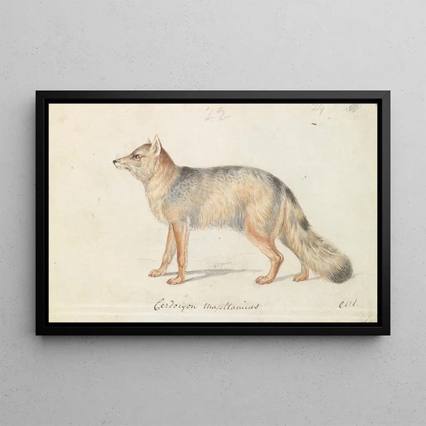Fox Crane - Charles Hamilton Smith — framed artwork on a wall