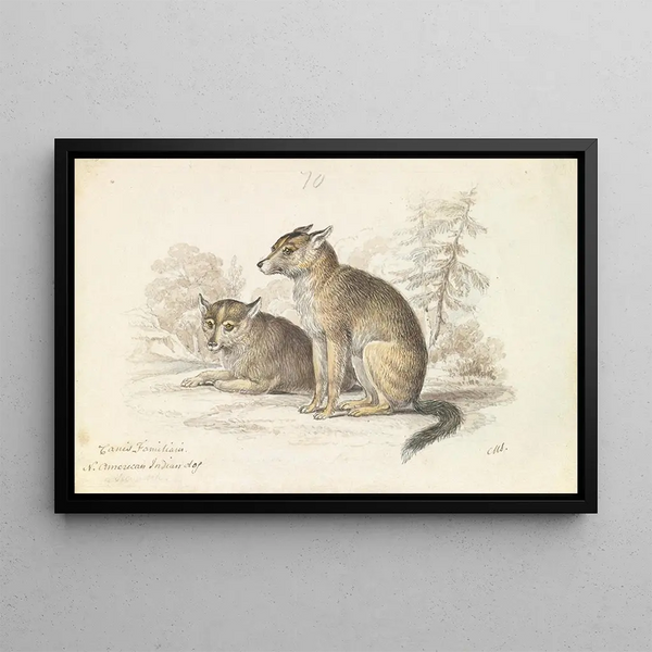 North American Indian Dog - Charles Hamilton Smith — framed artwork on a wall