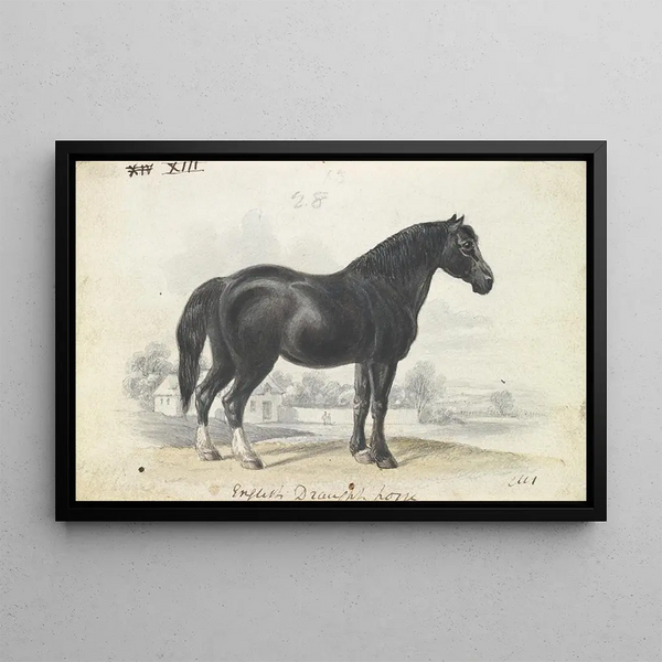 Draft Horse English - Charles Hamilton Smith — framed artwork on a wall