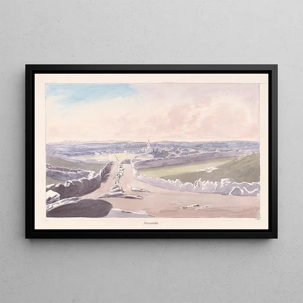 Pomegranate - Charles Hamilton Smith — framed artwork on a wall