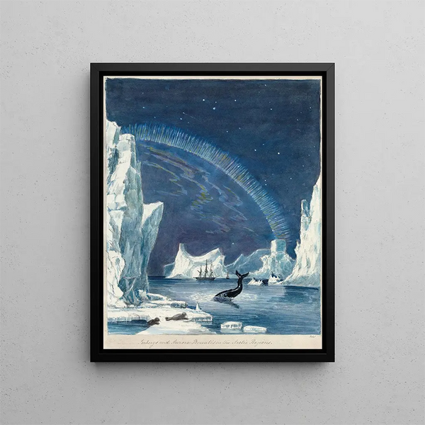 Icebergs and Northern Lights in Arctic Regions - Charles Hamilton Smith — framed artwork on a wall