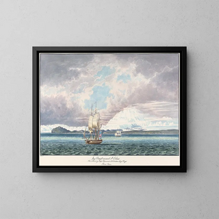 Glacier Bay of Mount Saint Elias - Charles Hamilton Smith — framed artwork on a wall