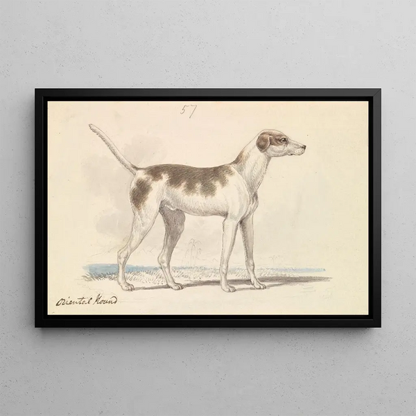 Oriental Dog Painting - Charles Hamilton Smith — framed artwork on a wall
