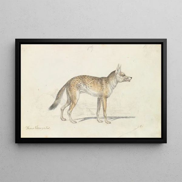 Dog painted Thous - Charles Hamilton Smith — framed artwork on a wall