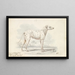 Parent of the modern carriage dog Carriage dog turnspit - Charles Hamilton Smith — framed artwork on a wall