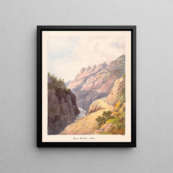 Valley in Sierra Morena - Charles Hamilton Smith — framed artwork on a wall