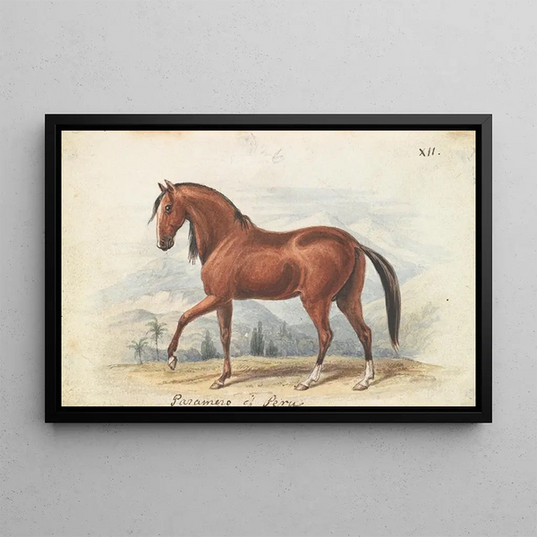 Peruvian Paso Painting - Charles Hamilton Smith — framed artwork on a wall