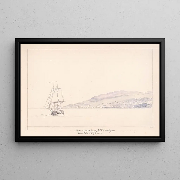 Punta Delgada - Charles Hamilton Smith — framed artwork on a wall