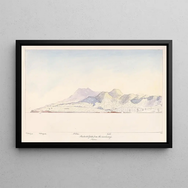 Ponta Delgada painting from the Azores anchorage - Charles Hamilton Smith — framed artwork on a wall