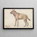 Hyena painting - Charles Hamilton Smith — framed artwork on a wall