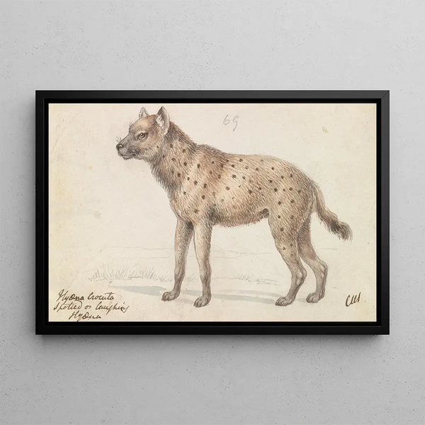 Hyena painting - Charles Hamilton Smith — framed artwork on a wall