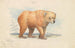 L'Ours brun - Charles Hamilton Smith — artwork view