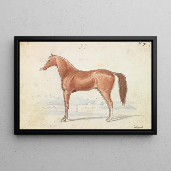 The Racehorse English - Charles Hamilton Smith — framed artwork on a wall