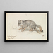 The Gray Fox - Charles Hamilton Smith — framed artwork on a wall