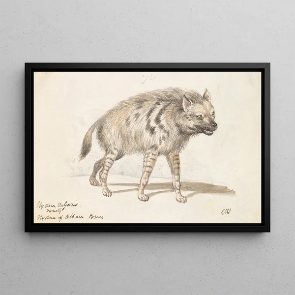 La Hyène d'Albara - Charles Hamilton Smith — framed artwork on a wall