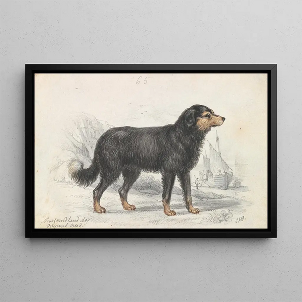 The Newfoundland dog, original breed - Charles Hamilton Smith — framed artwork on a wall