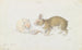 The rabbit - Charles Hamilton Smith — artwork view