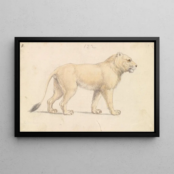 Lion of Tsavo - Charles Hamilton Smith — framed artwork on a wall