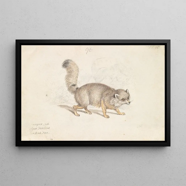 Turkish Fox - Charles Hamilton Smith — framed artwork on a wall