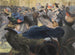 Au bal - Charles Maurin — artwork view