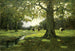 Prairie Stream - Charles Paul Gruppe — artwork view