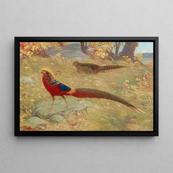 Golden Pheasant - Charles Robert Knight — framed artwork on a wall