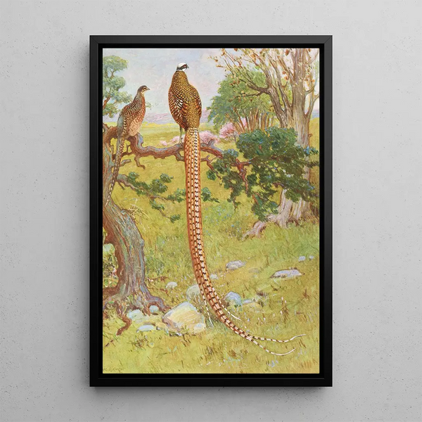 Faisan de Reeves - Charles Robert Knight — framed artwork on a wall